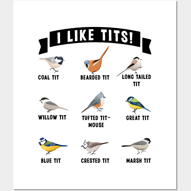 Funny Nature Wildlife I like Tits Bird Gift Wall Art by qwertydesigns